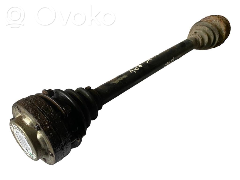 Aizmugurējā pusass