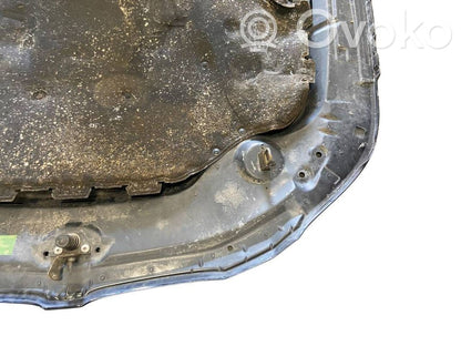 Dzinēja pārsegs (vāks)