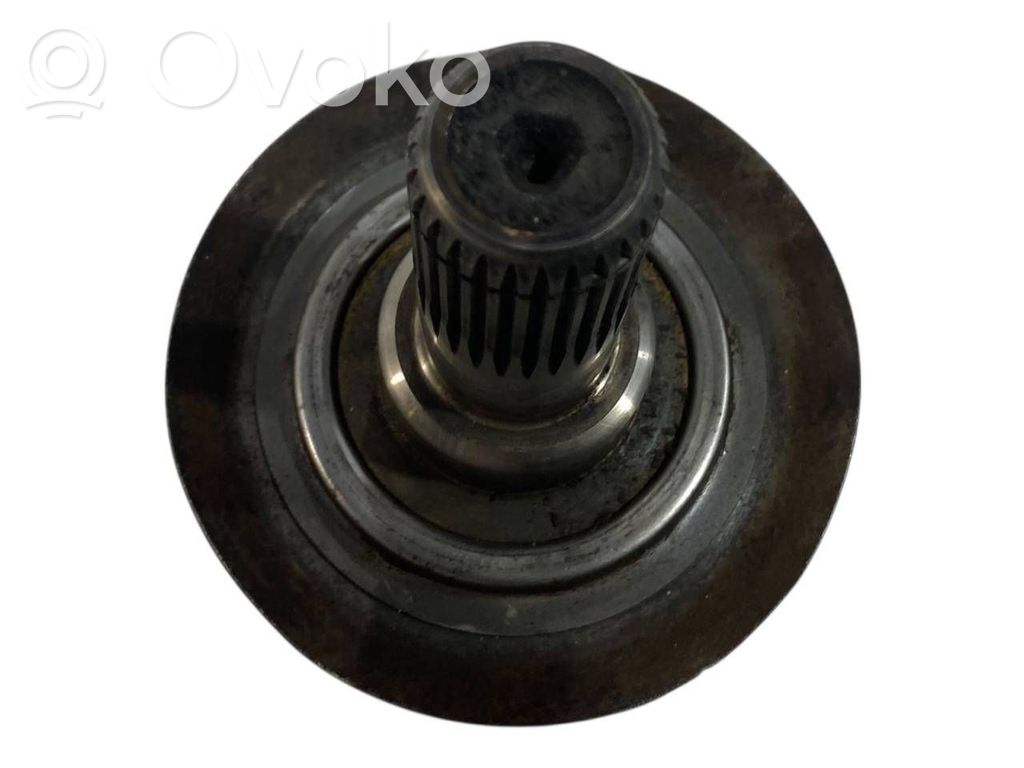 Aizmugurējā pusass