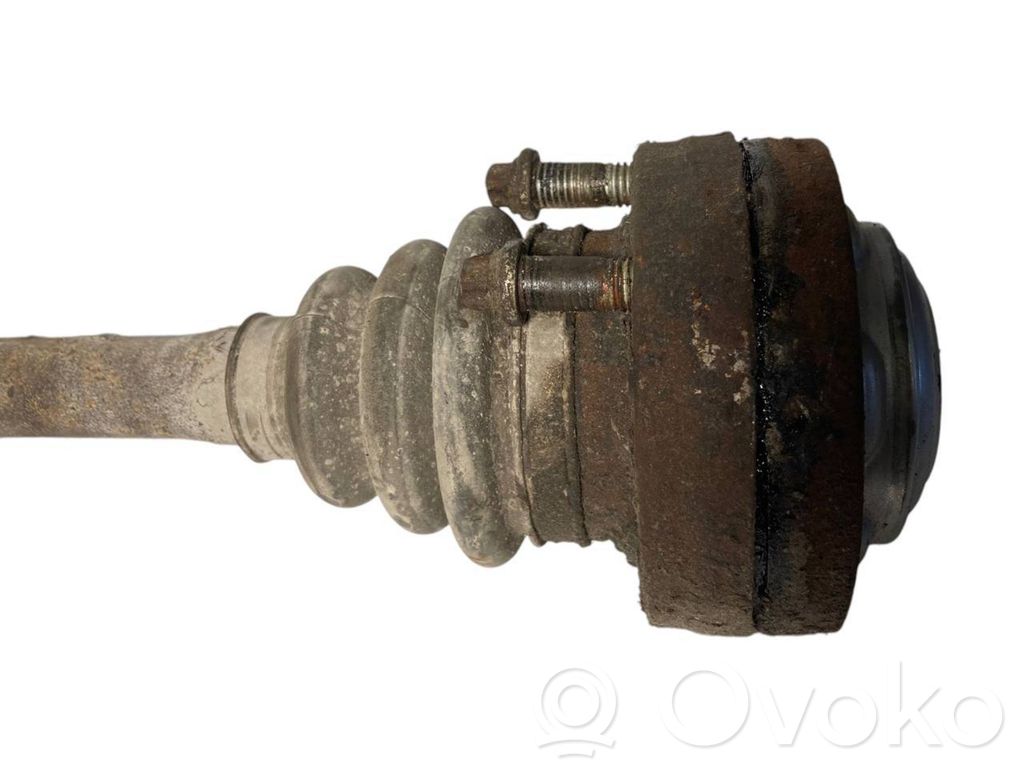 Aizmugurējā pusass