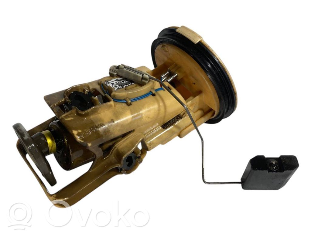 Fuel pump (in the fuel tank)