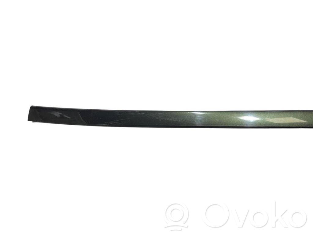 Aizmugurē durvju dekoratīvā apdare (moldings)
