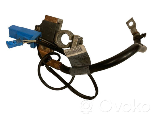 Negative wire (battery)