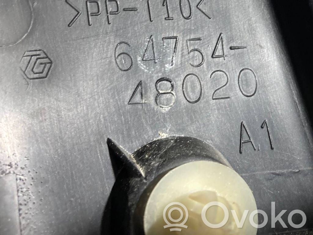 Cita veida bagāžnieka dekoratīvās apdares detaļa