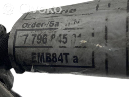 Engine wiring harness