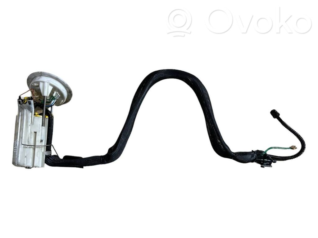 Fuel pump (in the fuel tank)