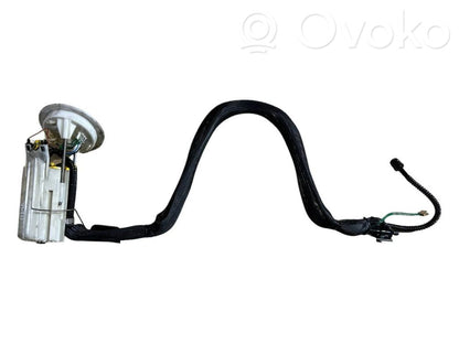 Fuel pump (in the fuel tank)
