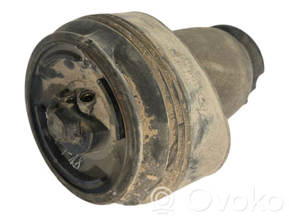 Aizmugurē gaisa spilvens