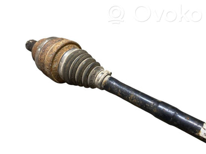 Aizmugurējā pusass