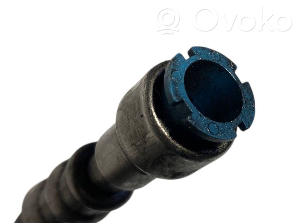 Caurule (-es) / šļūtene (-es)