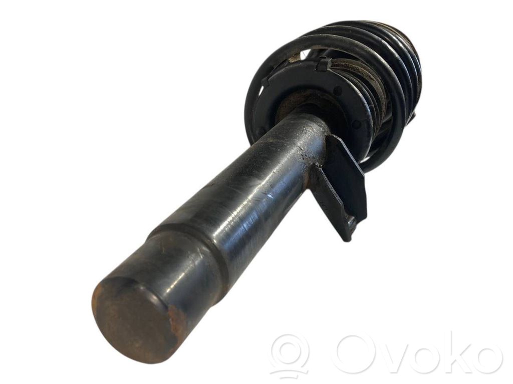 Front shock absorber with spring