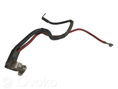 Plusa vads (akumulatora)