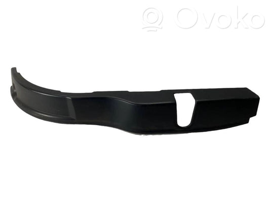 Rear door decorative trim (moulding)