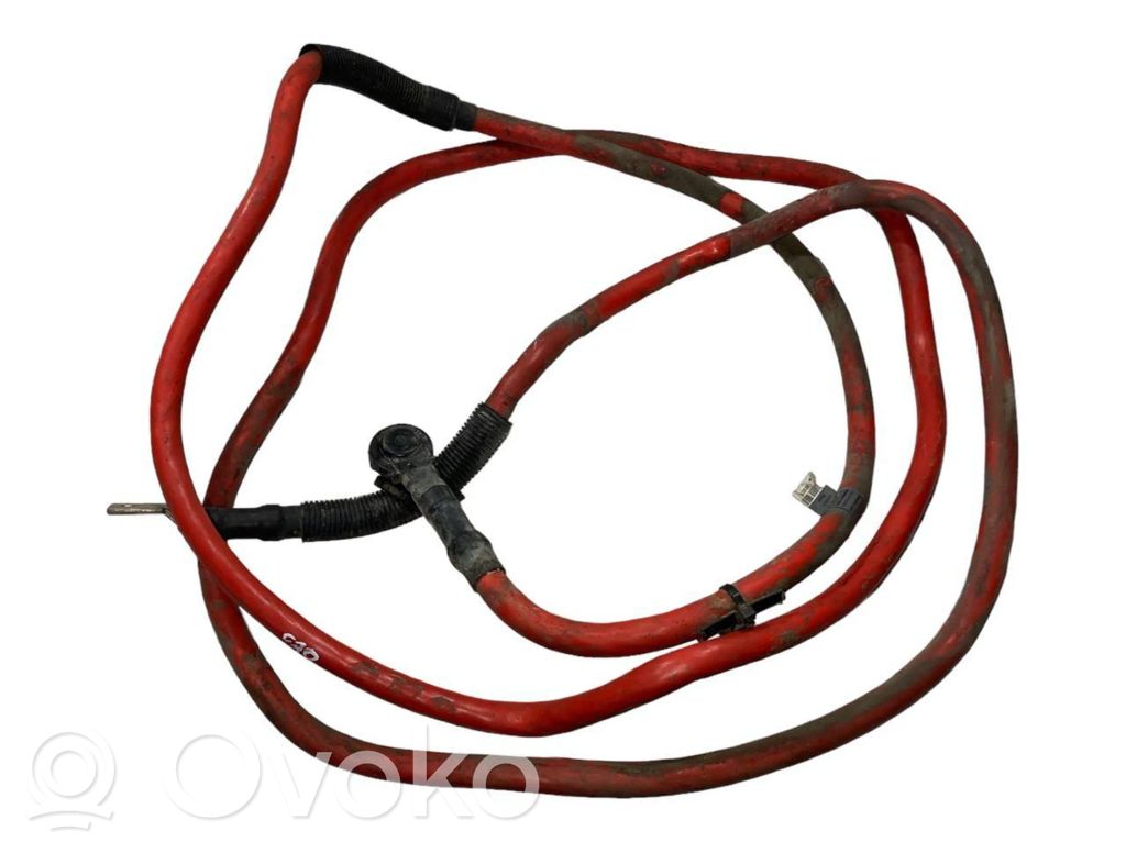 Plusa vads (akumulatora)