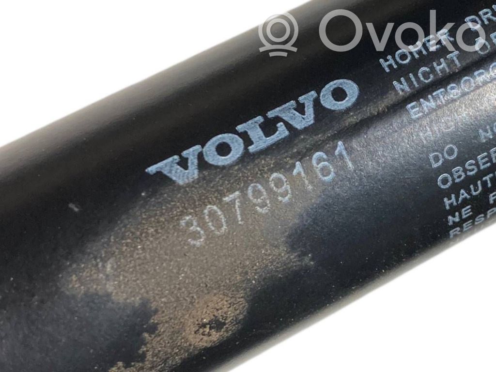 Bagāžnieka amortizators