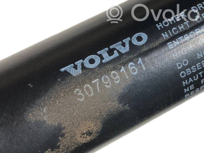 Bagāžnieka amortizators