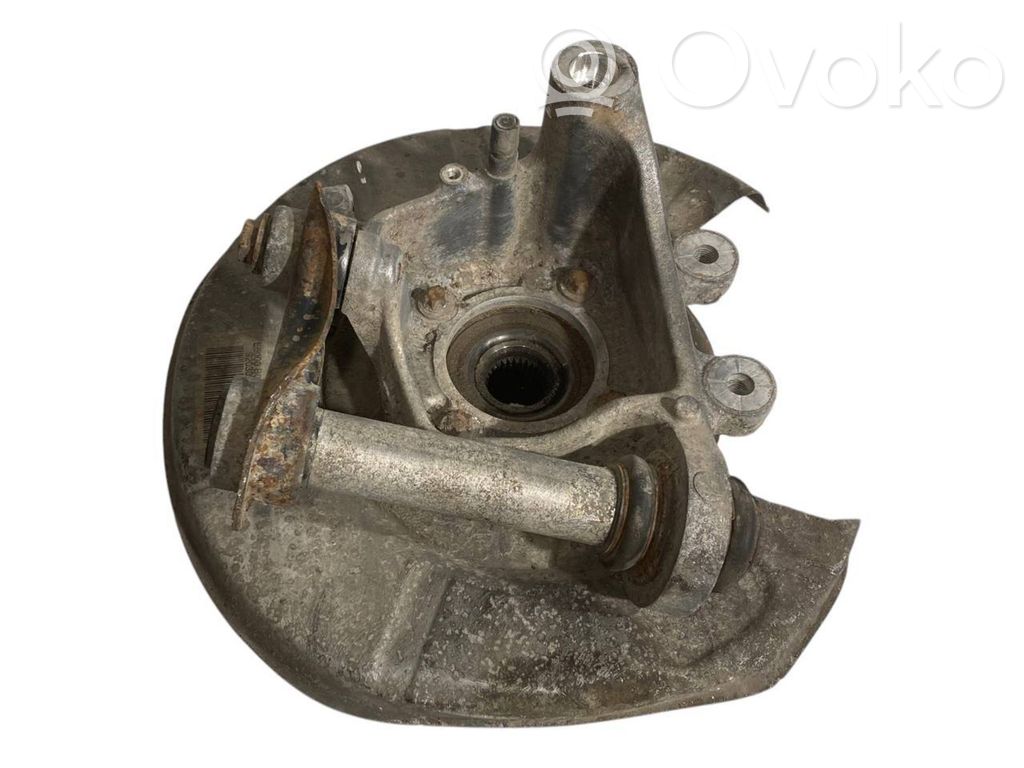 Rear wheel hub shaft joint (stupica, capfa)