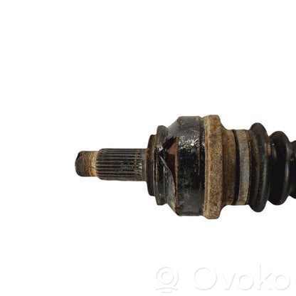 Aizmugurējā pusass