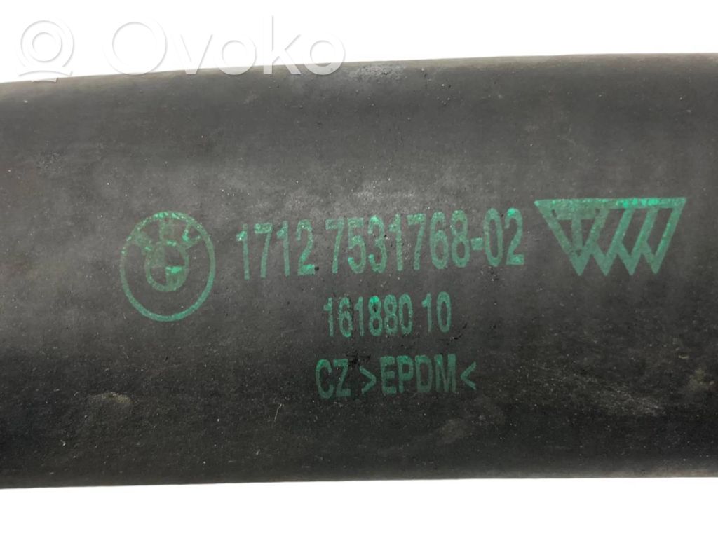 Caurulīte (-es) / šļūtene (-es)