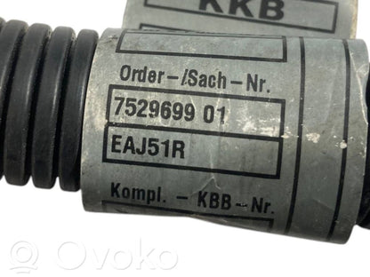 Engine wiring harness