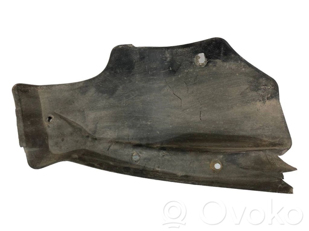 Aizmugurējais apakšspārns