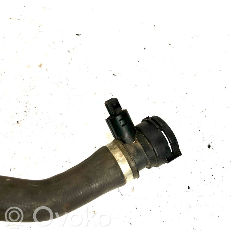 Caurulīte (-es) / šļūtene (-es)