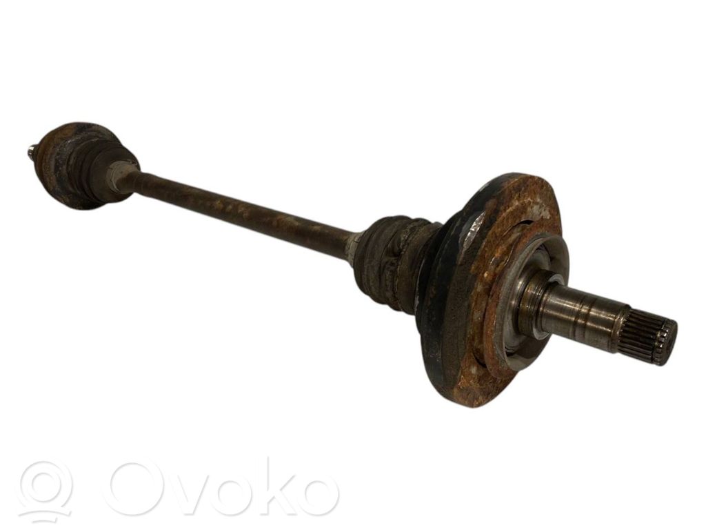 Aizmugurējā pusass