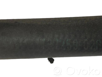 Caurulīte (-es) / šļūtene (-es)