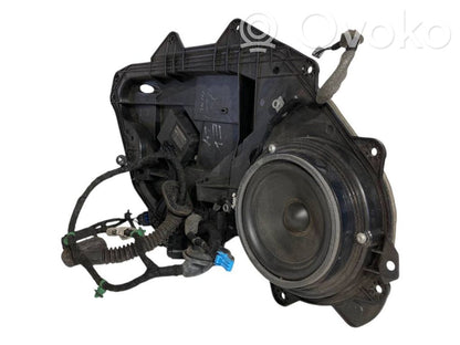 Speaker(s) in the rear door
