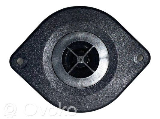 Твитер(ы) в передней двери