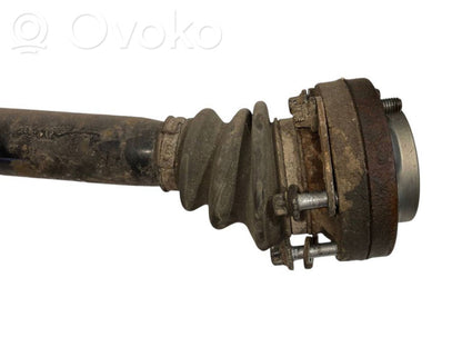 Aizmugurējā pusass