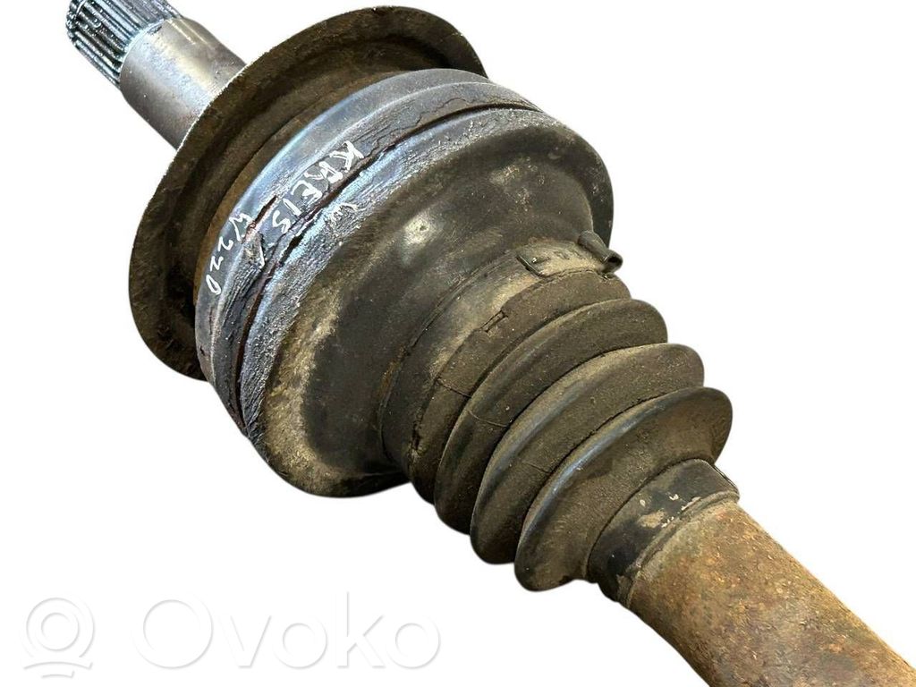 Aizmugurējā pusass