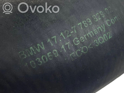 Interkūlera šļūtene (-es) / caurule (-es)