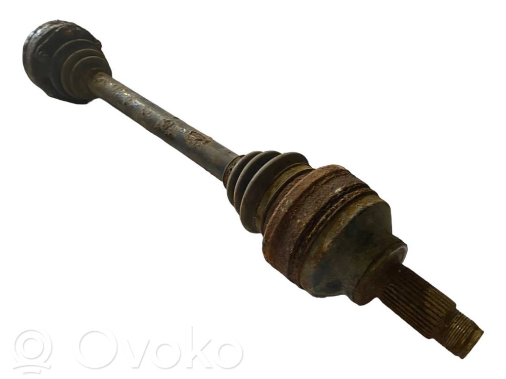 Aizmugurējā pusass