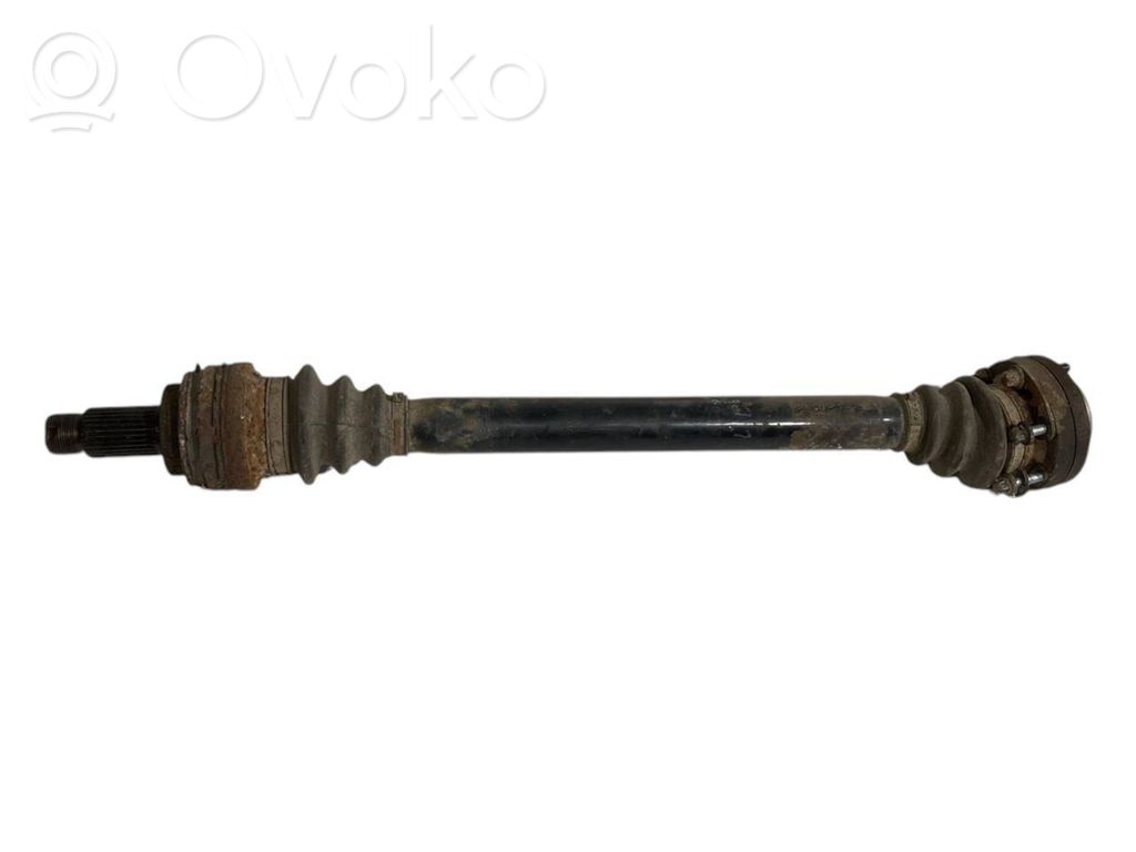 Aizmugurējā pusass