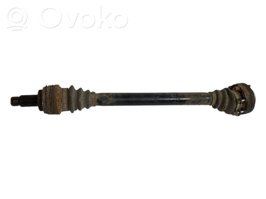 Aizmugurējā pusass