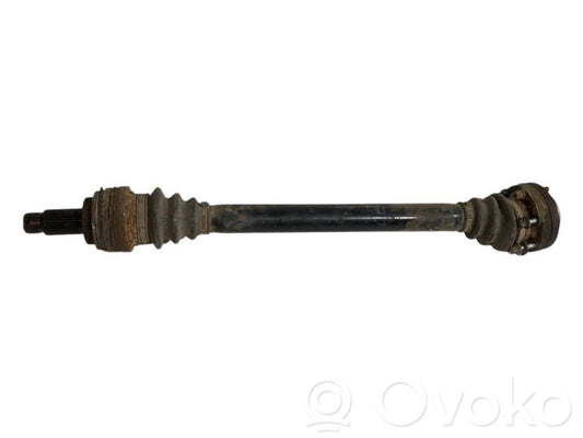 Aizmugurējā pusass