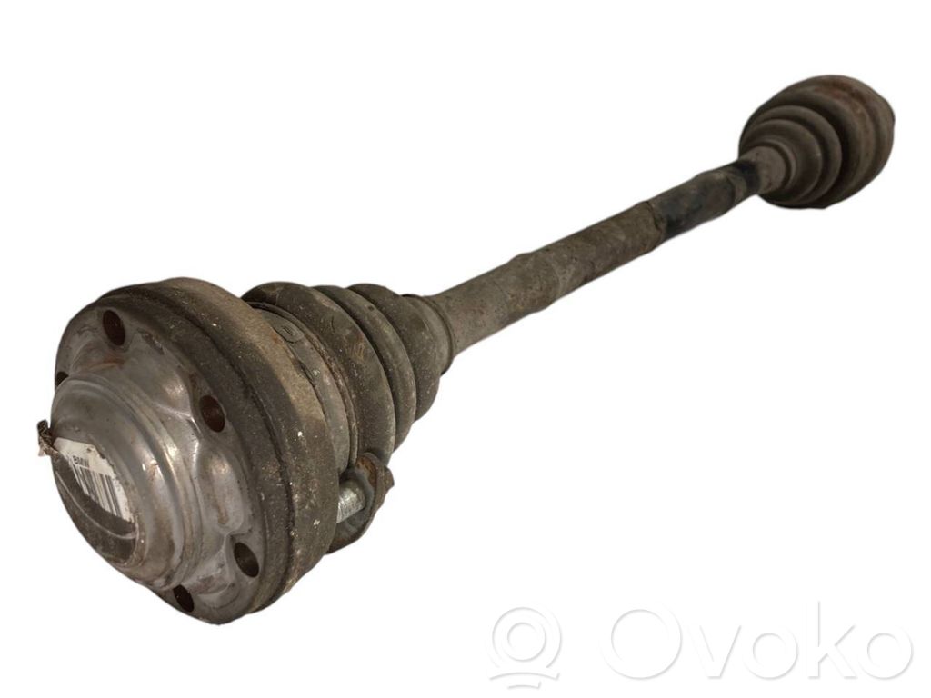 Aizmugurējā pusass