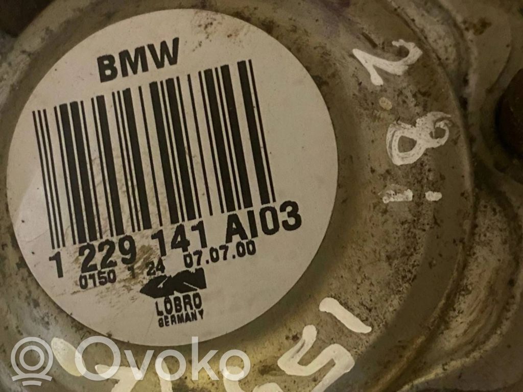 Aizmugurējā pusass