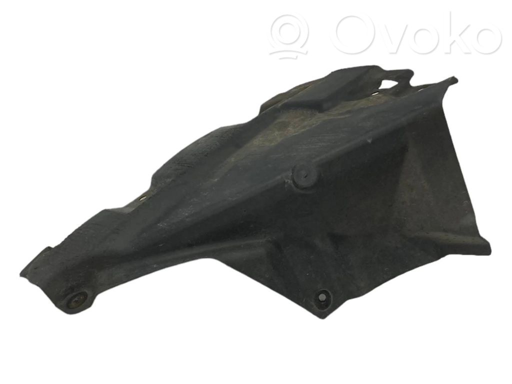 Under engine guard (front)