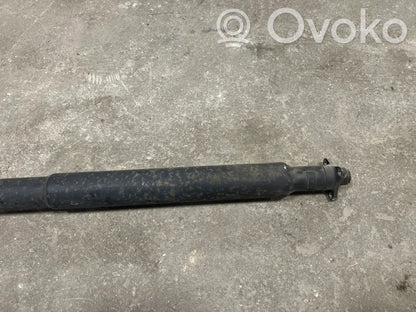 Aizmugurējais kardāns