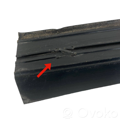 Rear door sill trim (external)