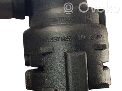 Caurulīte (-es) / šļūtene (-es)