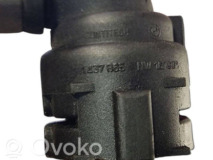 Caurulīte (-es) / šļūtene (-es)