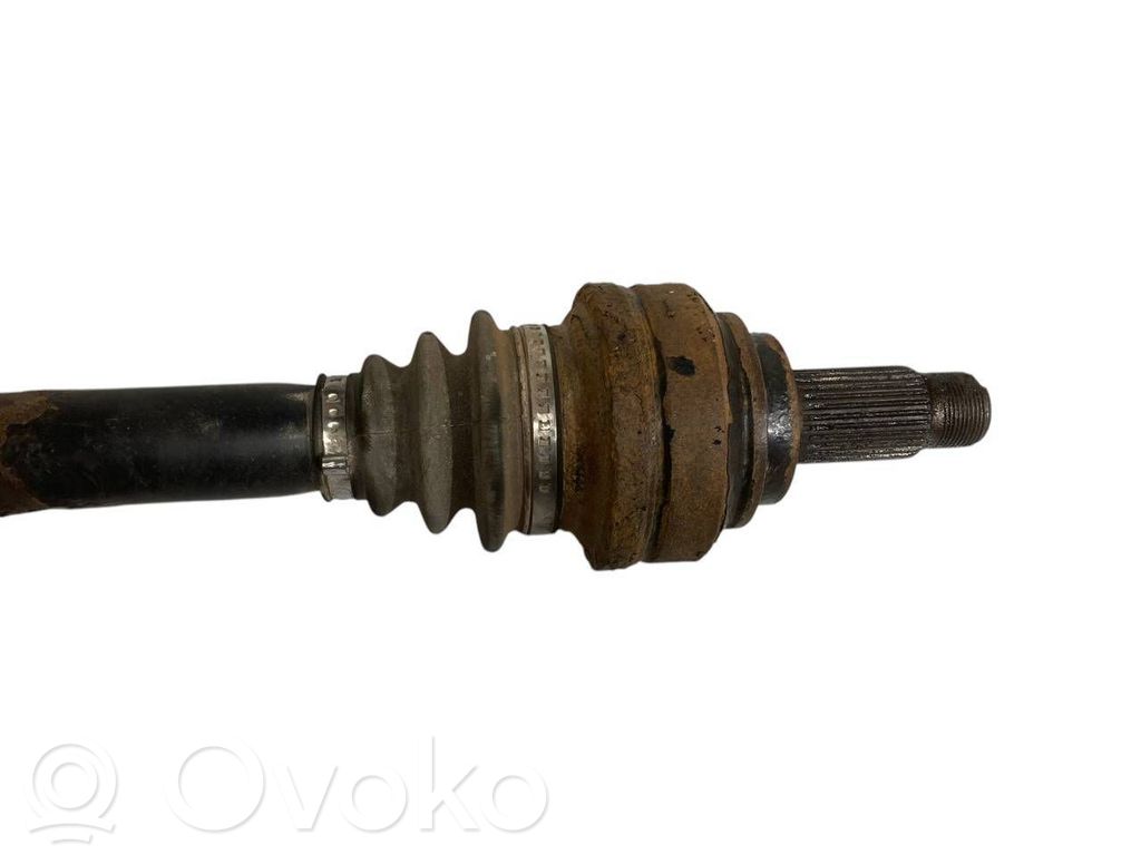 Aizmugurējā pusass