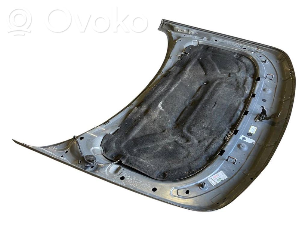 Dzinēja pārsegs (vāks)