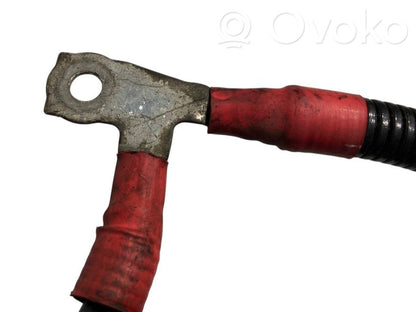 Plusa vads (akumulatora)