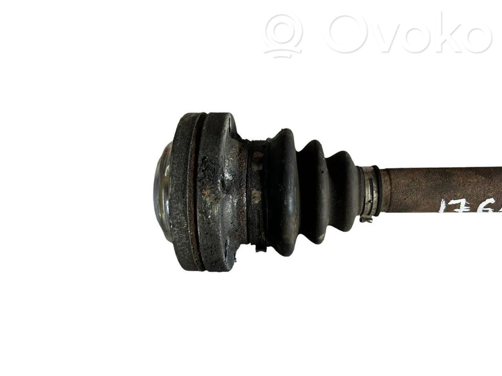 Aizmugurējā pusass