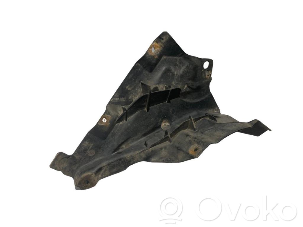 Under engine guard (front)