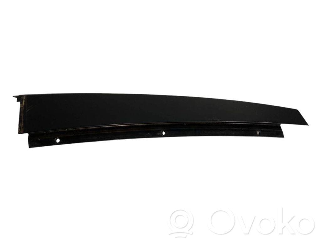 Rear door glass trim